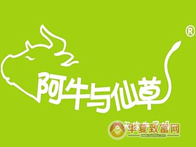 阿牛与仙草加盟